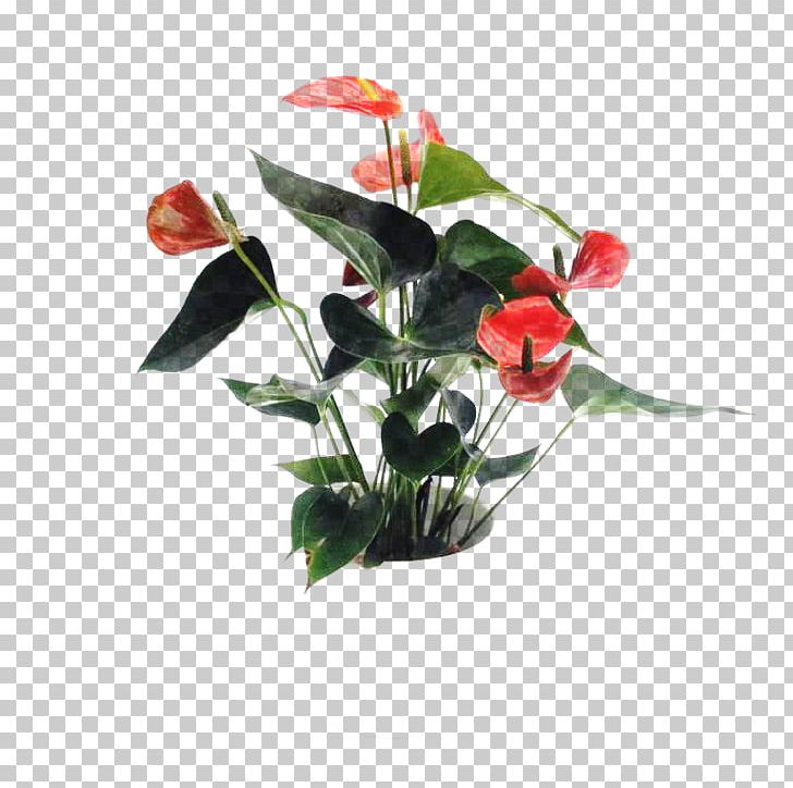 Floral Design Cut Flowers Artificial Flower PNG, Clipart, Artificial Flower, Cut Flowers, Family, Flora, Floral Design Free PNG Download