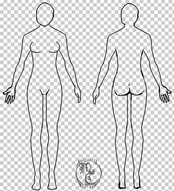 Free Line Drawing Human Body