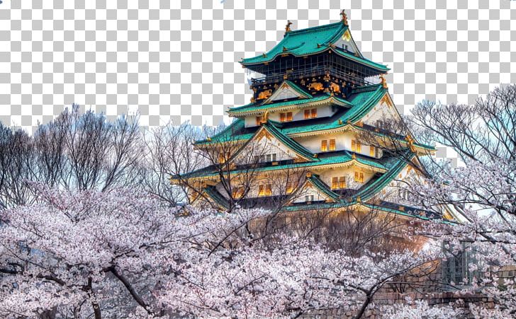 Osaka Castle Himeji Castle Namba Du014dtonbori Chxe2teau Miranda PNG, Clipart, Branch, Building, Castle, Cherry Blossom, Chxe2teau Miranda Free PNG Download