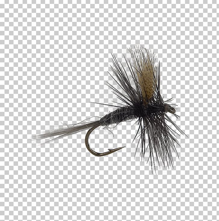 Artificial Fly Fly Fishing Crane Fly PNG, Clipart, Artificial Fly, Blog, Crane Fly, Digital Media, Discounts And Allowances Free PNG Download
