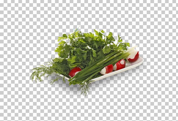 Leaf Vegetable Herb Khinkali Kharcho Sujuk PNG, Clipart, Bell Pepper, Diet Food, Dill, Food, Garnish Free PNG Download