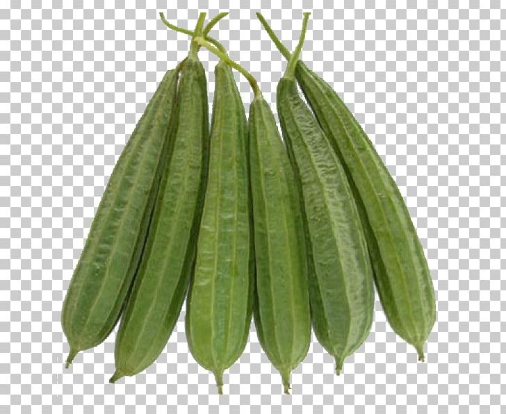 Luffa Acutangula Gourd Calabash Vegetable Seed PNG, Clipart, Baby Corn, Bitter Melon, Calabash, Commodity, Cucumber Free PNG Download