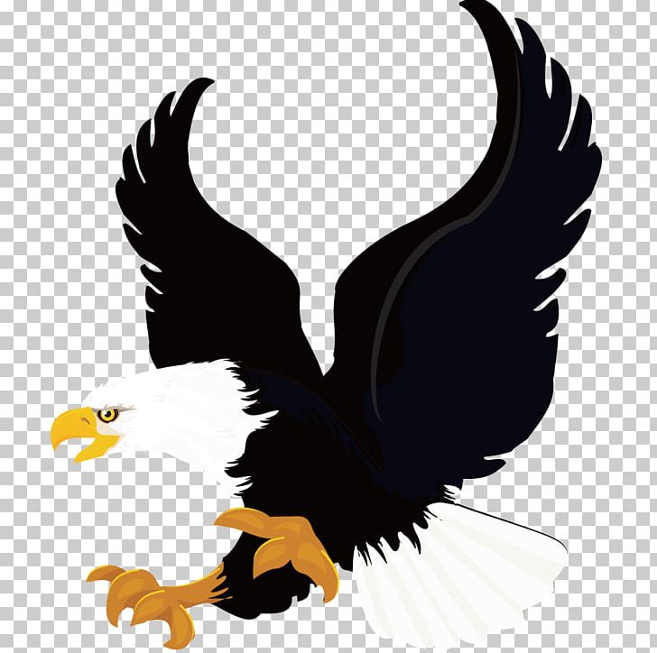 Stock Illustration Vexel Illustration PNG, Clipart, Accipitriformes, Animal, Animals, Bald Eagle, Beak Free PNG Download
