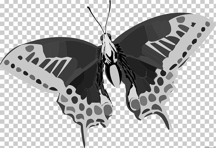 Butterfly Color PNG, Clipart, Arthropod, Black, Black, Black And White, Brush Footed Butterfly Free PNG Download