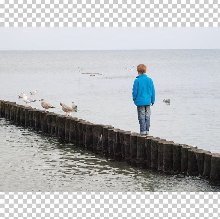 Groyne Child Shore Psychology Breakwater PNG, Clipart, Age, Breakwater, Child, Childhood, Coping Free PNG Download