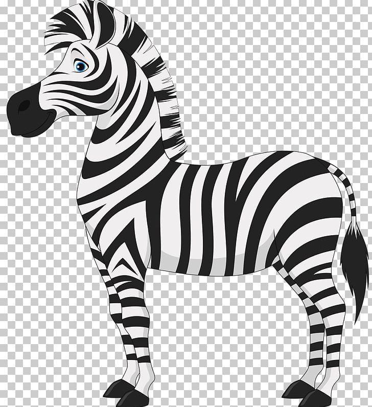 Horse Zebra PNG, Clipart, Animals, Black, Black And White, Cartoon, Cartoon Zebra Crossing Free PNG Download