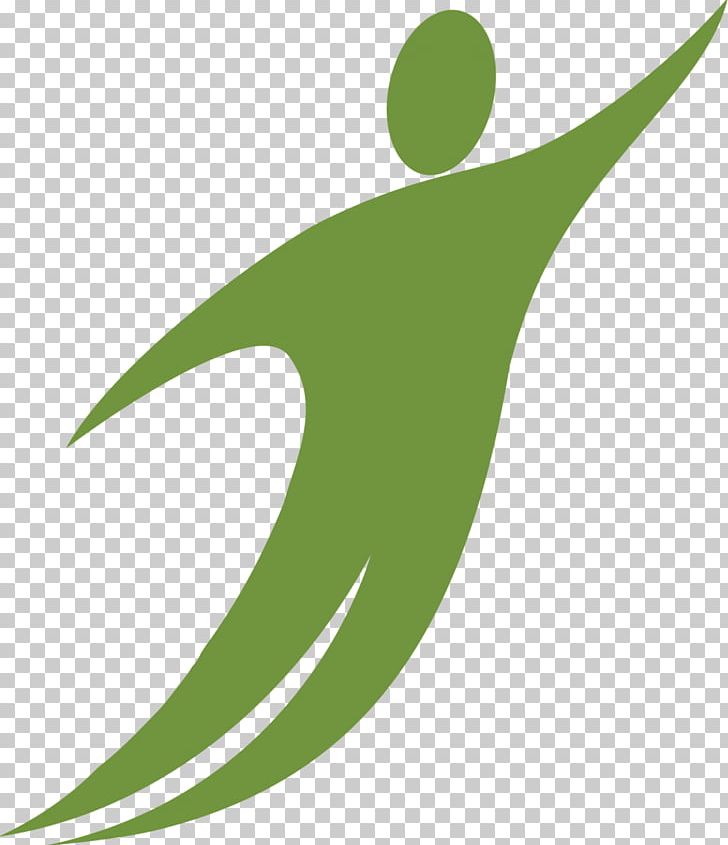 Leaf Green Plant Stem PNG, Clipart, Credit, Grass, Green, Leaf, Line Free PNG Download