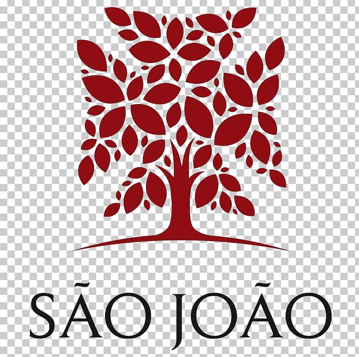 Saint John Hospital Physician Hospital De São João Medicine PNG, Clipart, Area, Branch, Brand, Disease, Flora Free PNG Download