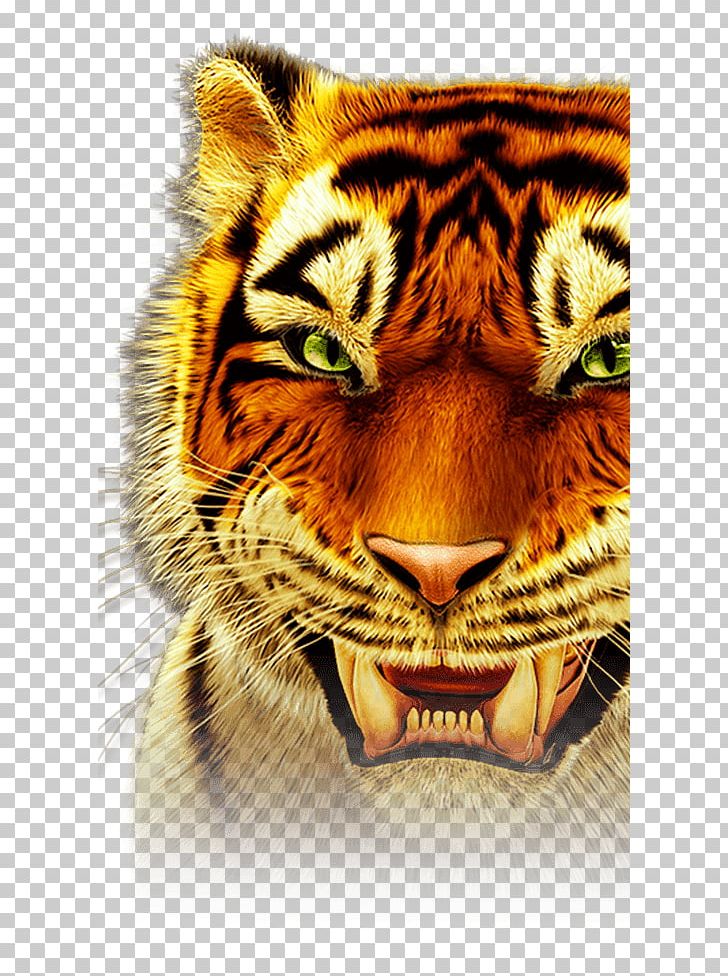 Black Tiger Whiskers Slot Machine Roar PNG, Clipart, Animals, Arkansas, Big Cat, Big Cats, Black Free PNG Download