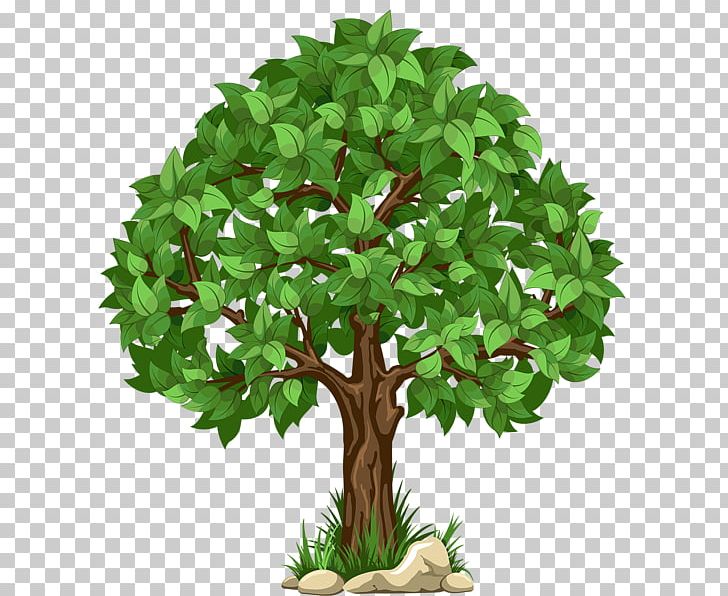 Tree PNG, Clipart, Branch, Clip Art, Computer Icons, Desktop Wallpaper, Flowerpot Free PNG Download