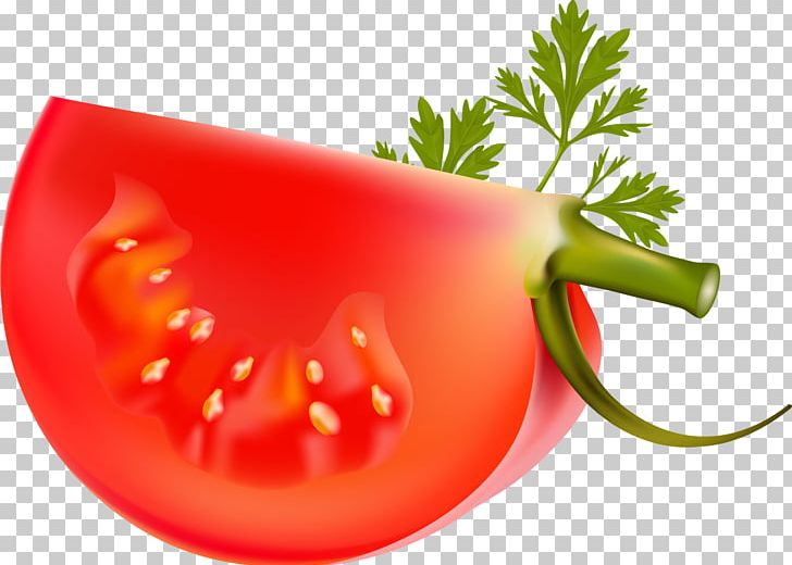 Chili Pepper Vegetable Capsicum Tomato Bell Pepper PNG, Clipart, Bell Pepper, Bell Peppers And Chili Peppers, Carrot, Cartoon, Chili Pepper Free PNG Download