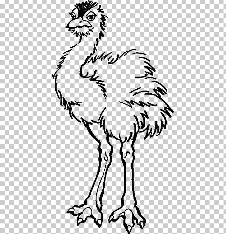 Common Ostrich Coloring Book Child Animal PNG, Clipart, Animal, Artwork, Beak, Bird, Black And White Free PNG Download