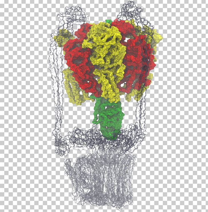 Western Illinois University Floral Design University Of Illinois At Urbana–Champaign Thermodynamic Free Energy PNG, Clipart, Art, Atpase, Chemical Reaction, Cut Flowers, Energy Free PNG Download