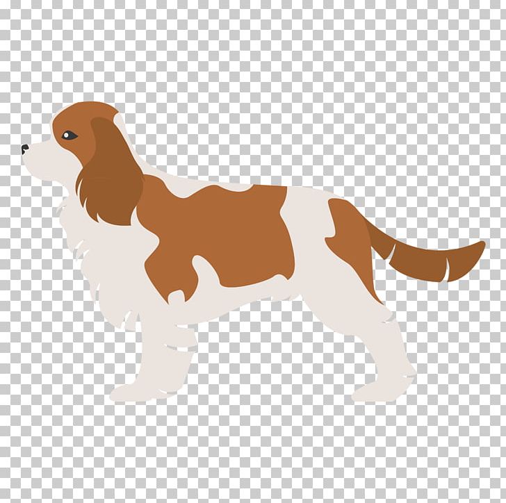 Affenpinscher Pug Poodle Cavalier King Charles Spaniel Maltese Dog PNG, Clipart, Affenpinscher, Animal Figure, Bichon, Breed, Carnivoran Free PNG Download