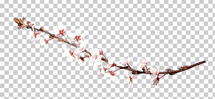 China Twig PNG, Clipart, Branch, Cerasus, China, Flower, Line Free PNG Download