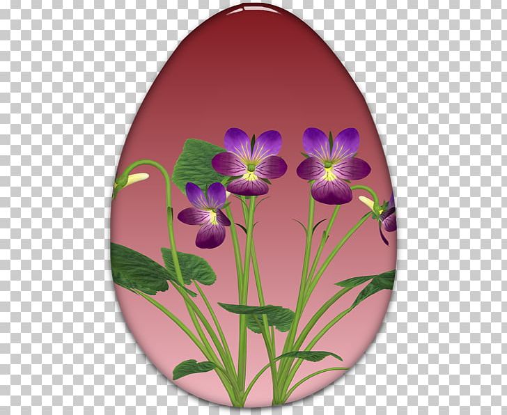 Pansy Violet PNG, Clipart, Egg Tube, Flora, Flower, Flowering Plant, Magenta Free PNG Download