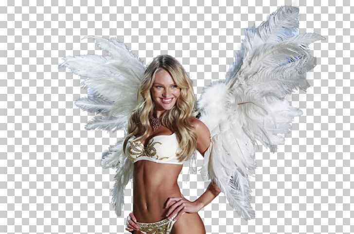 Victoria's Secret Fashion Show 2011 Feather PNG, Clipart,  Free PNG Download