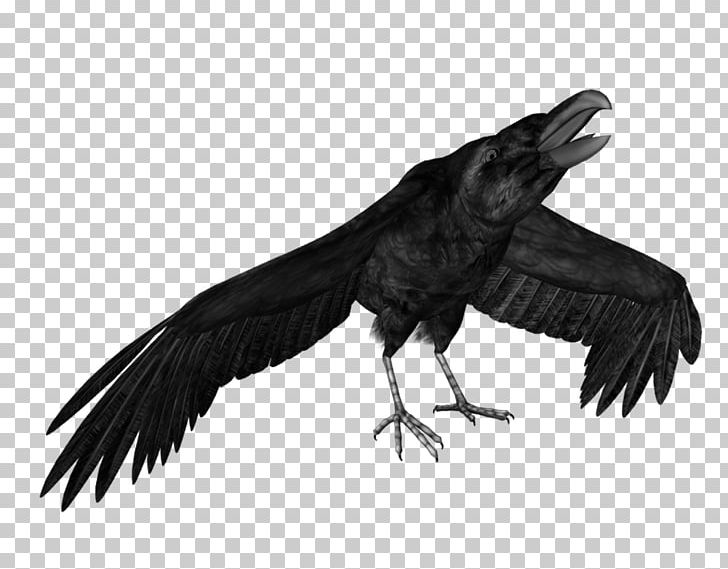 American Crow Macabre Idea Writer Ghoul PNG, Clipart, American Crow, Bane, Beak, Bird, Bird Of Prey Free PNG Download