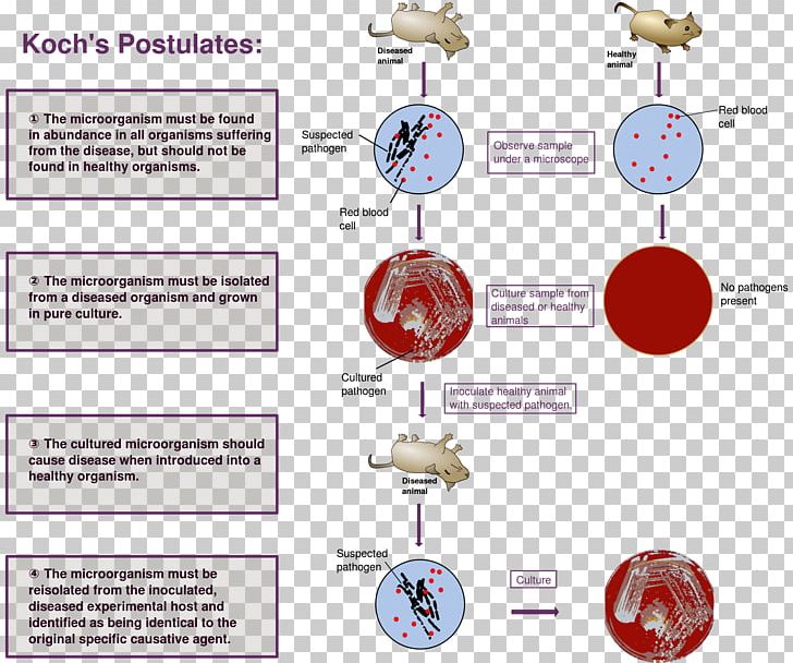 Germ Theory Of Disease Microbiology Microbiologist Spontaneous Generation Bacteriology PNG, Clipart,  Free PNG Download