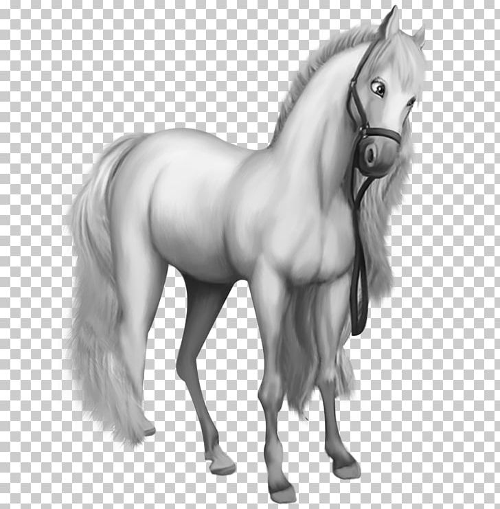 Morgan Horse Shetland Pony PNG, Clipart, Animal, Black, Black And White, Bridle, Colt Free PNG Download
