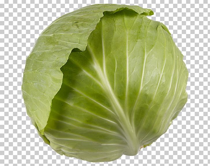 Romaine Lettuce Savoy Cabbage Collard Greens Spring Greens Capitata Group PNG, Clipart, Brassica Oleracea, Broccoli, Brussels Sprout, Cabbage, Capitata Group Free PNG Download