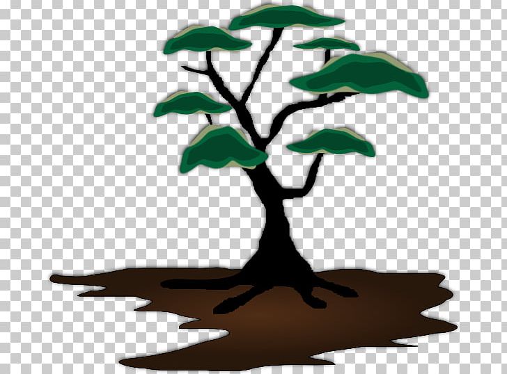 African Trees PNG, Clipart, African Trees, Baobab, Branch, Cartoon, Diagram Free PNG Download