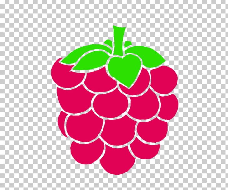 Raspberry Drawing Food PNG, Clipart, Art, Cartoon, Circle, Drawing, Flowering Plant Free PNG Download