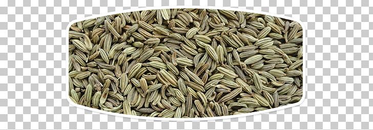 Fennel Seed Oil Food Spice PNG, Clipart, Commodity, Cumin, Essential Oil, Extract, Fennel Free PNG Download