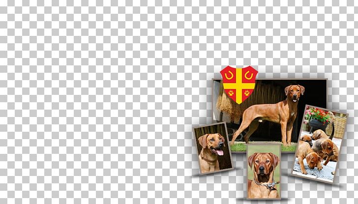 Frames Animal PNG, Clipart, Animal, Organism, Picture Frame, Picture Frames, Rhodesian Ridgeback Free PNG Download