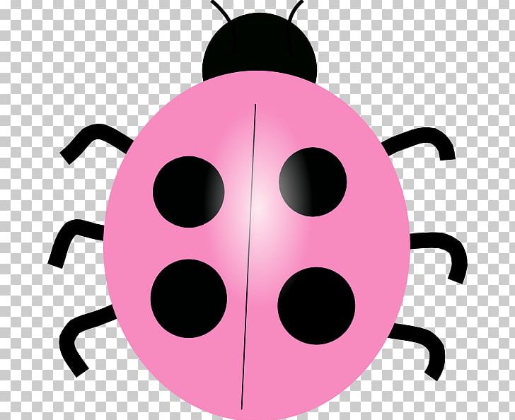 Free Ladybird PNG, Clipart, Clip Art, Color, Document, Family Clipart, Free Free PNG Download