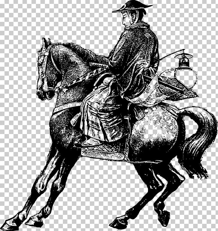 Horse Stallion Equestrian PNG, Clipart, Animals, Art, Cowboy, Drawing, English Riding Free PNG Download