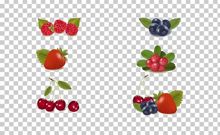 Milkshake Berry Fruit PNG, Clipart, Berry, Blackcurrant, Blueberry, Blueberry Vector, Che Free PNG Download