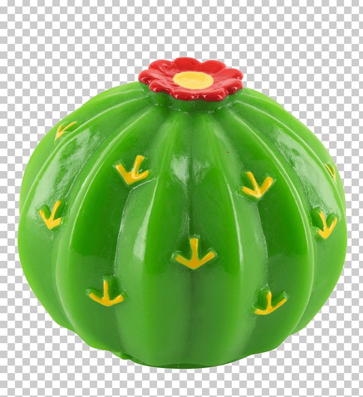 Watermelon Beauty Skin Precedent Pylones PNG, Clipart, Beauty, Berry, Cactus, Cucumber Gourd And Melon Family, Cucumis Free PNG Download