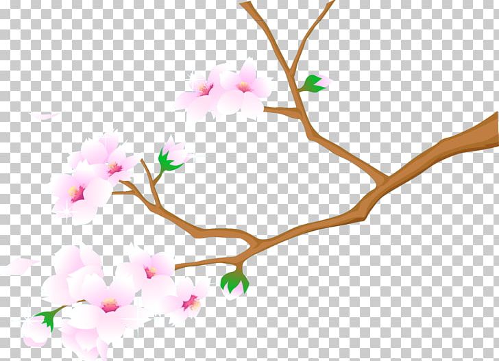 Cherry Blossom University PNG, Clipart, Blossom, Branch, Computer Wallpaper, Desktop Wallpaper, Document Free PNG Download