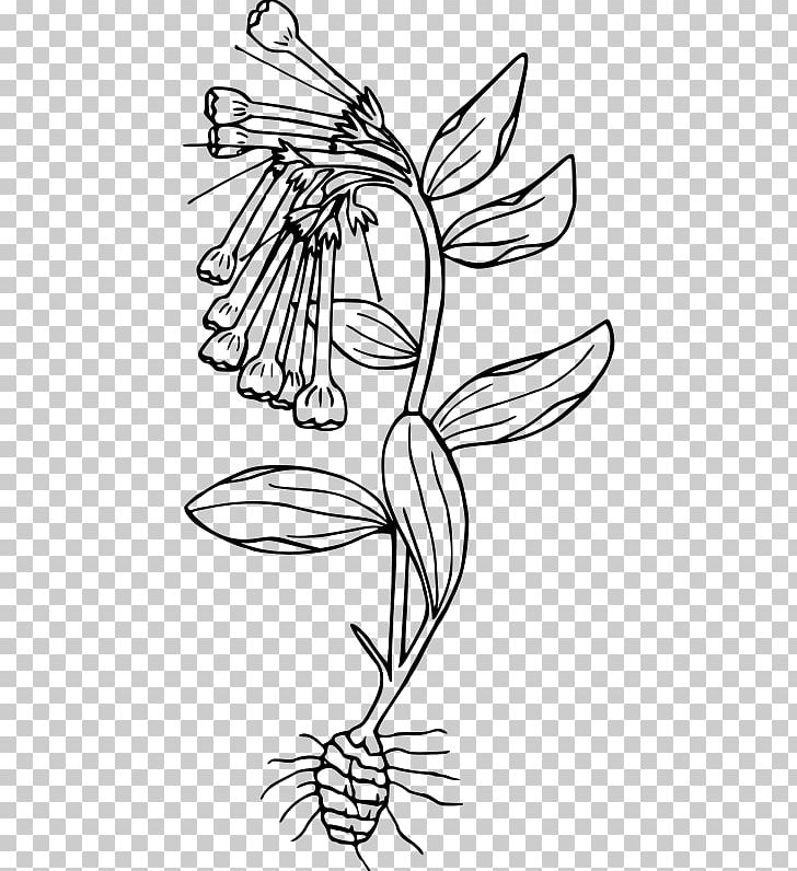 Coloring Book Drawing PNG, Clipart, Art, Artwork, Black, Black And White, Bluebell Free PNG Download