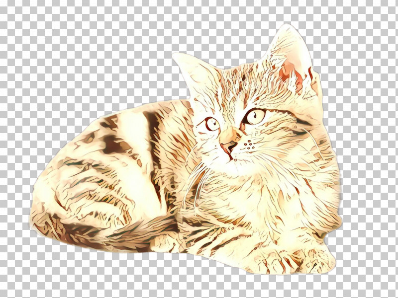 Cat Small To Medium-sized Cats Whiskers European Shorthair Kitten PNG, Clipart, American Bobtail, Cat, European Shorthair, Kitten, Norwegian Forest Cat Free PNG Download