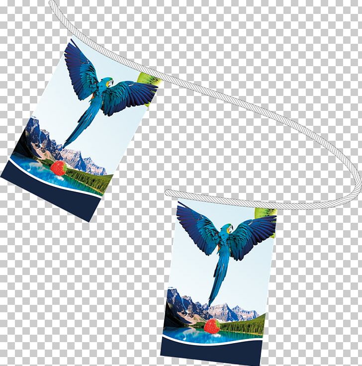 Bunting Paper Flag Printing Textile PNG, Clipart, Advertising, Banner, Bunting, Exhibition, Feather Free PNG Download