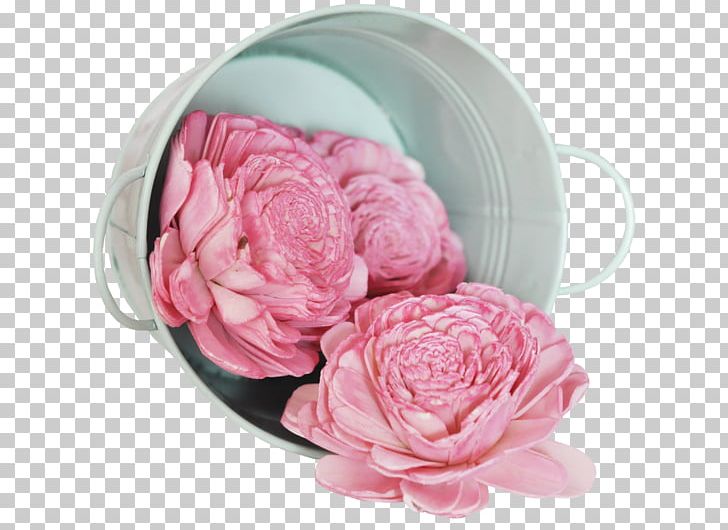 Centifolia Roses PNG, Clipart, Centifolia Roses, Creative, Creativity, Cut Flowers, Designer Free PNG Download