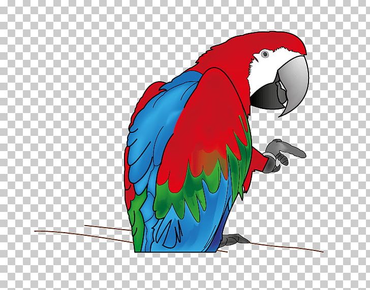 Macaw Parakeet Beak Feather PNG, Clipart, Animals, Beak, Bird, Common Pet Parakeet, Feather Free PNG Download