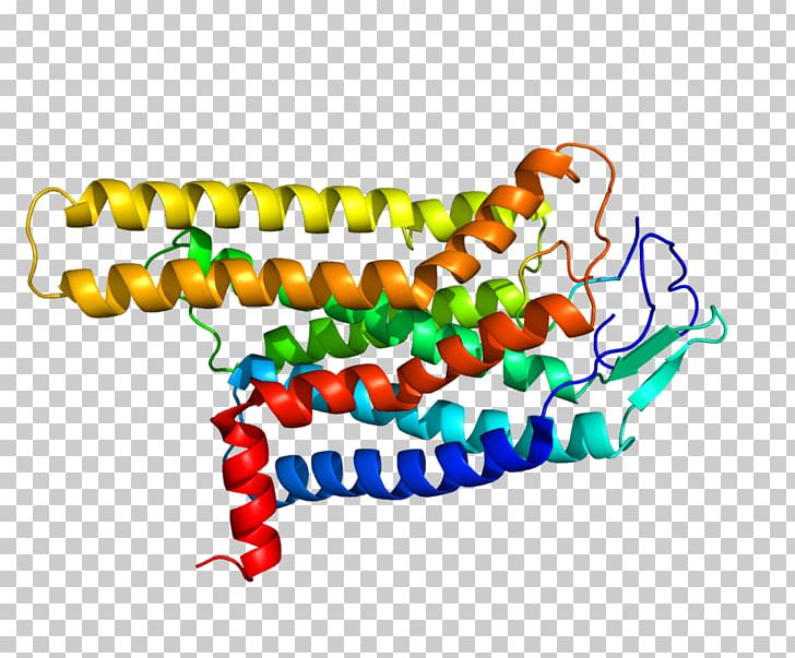 Melanocortin 4 Receptor Melanocortin Receptor G Protein–coupled Receptor PNG, Clipart, 4 R, Area, Body Jewelry, Gene, G Protein Free PNG Download