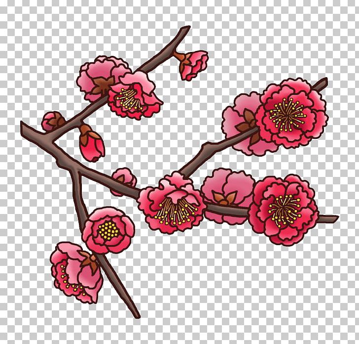 Plum Blossom Floral Design U5bd2 Flower PNG, Clipart, Branch, Cartoon, Cashmere Wool, Color, Examination Free PNG Download