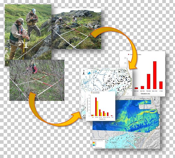 Water Resources Map Organism PNG, Clipart, Atlas, Botanical, Denali, Diagram, Map Free PNG Download