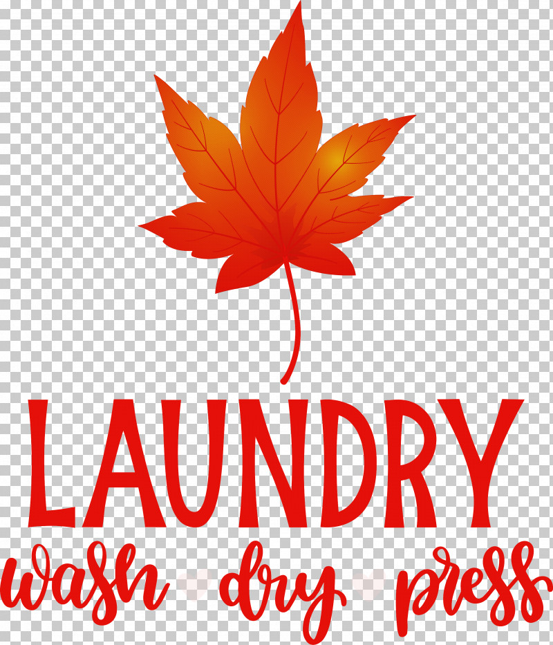 Laundry Wash Dry PNG, Clipart, Biology, Dry, Flower, Geometry, Laundry Free PNG Download