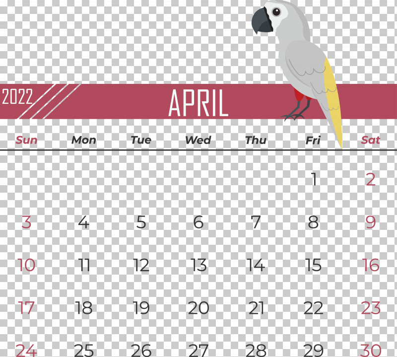Birds Beak Line Font Calendar PNG, Clipart, Beak, Biology, Birds, Calendar, Geometry Free PNG Download