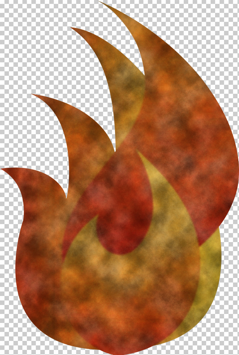 Flame Fire PNG, Clipart, Biology, Fire, Flame, Leaf, Orange Sa Free PNG Download