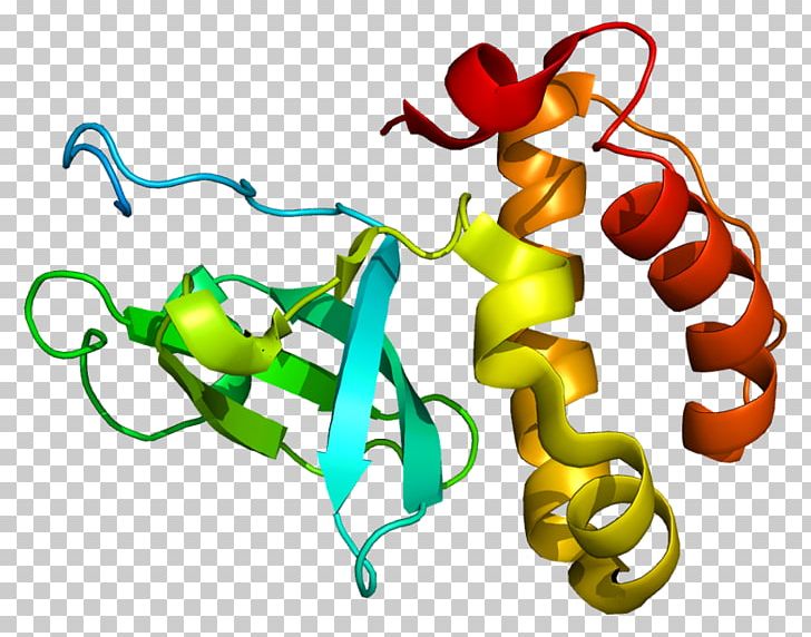 DNMT3B DNA Methyltransferase Protein Histone Centromere PNG, Clipart, 3 B, Artwork, Body Jewelry, Centromere, Cytosine Free PNG Download