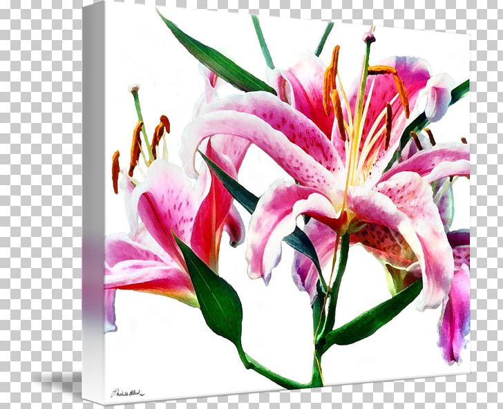 Floral Design Gallery Wrap Cut Flowers Lilium PNG, Clipart,  Free PNG Download