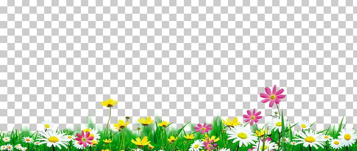 Nature PNG, Clipart, Bloom, Computer Wallpaper, Effect, Environmental, Environmental Protection Free PNG Download