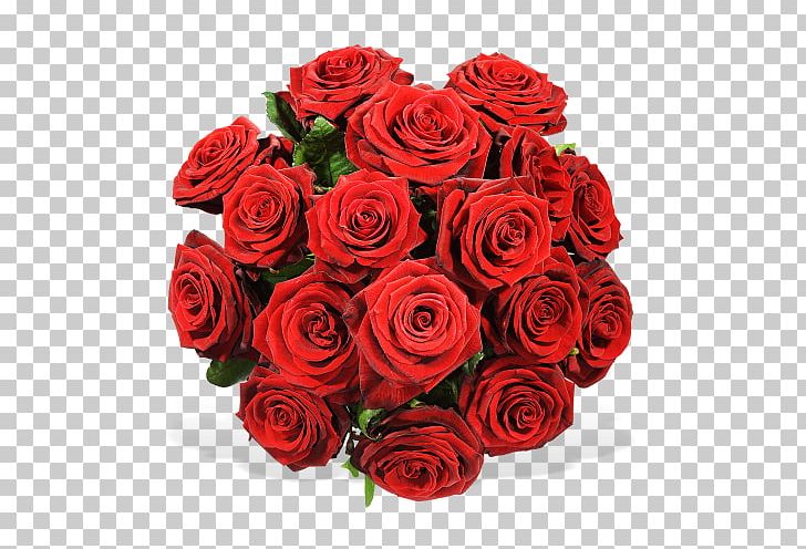 Rose Flower Bouquet Germany Interflora PNG, Clipart, Blume, Cut Flowers, Delivery, Floral Design, Floribunda Free PNG Download