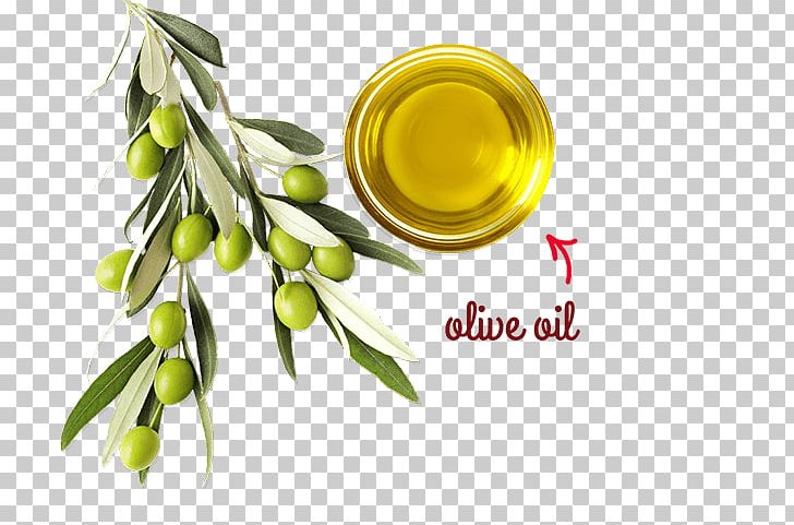 Soybean Oil Olive Oil Alternative Health Services Medicine PNG, Clipart, Alternative Health Services, Cooking Oil, Herbalism, Medicine, Natural Foods Free PNG Download
